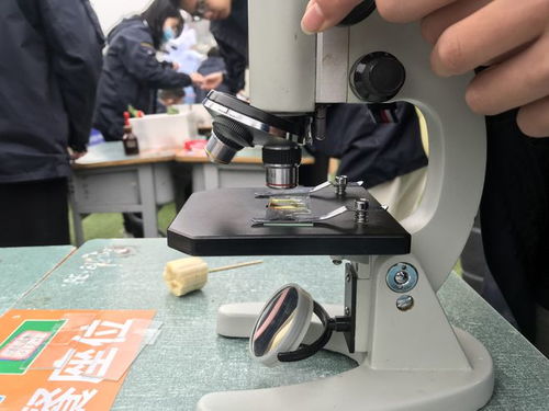 校園科技節(jié)腦力值拉滿，學(xué)生玩嗨了！教學(xué)模型與教具銷售迎來熱潮