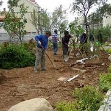  天津市天福園林綠化工程有限責(zé)任公司 主營 苗木 花卉 綠化工程