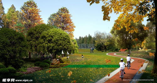 公園低碳騎行海報設(shè)計圖 psd分層素材 psd分層素材