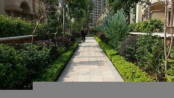 園林綠化公司注冊條件(園林綠化公司注冊條件是什么)