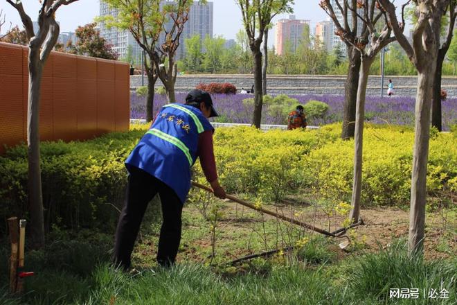 市政園林景觀綠化工程施工流程注意事項(xiàng)和樹(shù)種選擇
