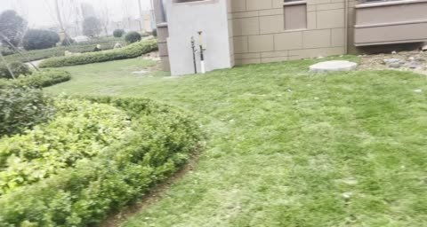 城市芳華動態 小區綠化正在施工中 日照安居客