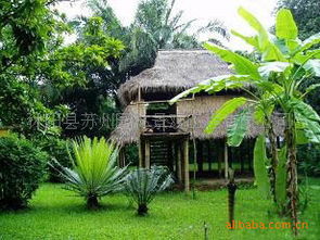 園林綠化生態(tài)茅草屋價格優(yōu)惠