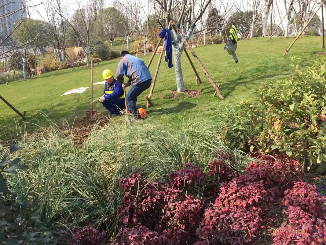 邊坡綠化工程 專業(yè)施工，筑造綠色家園的生態(tài)屏障