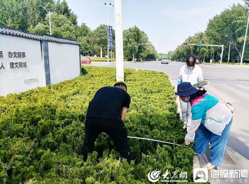 青州市園林綠化和環(huán)衛(wèi)中心 卡準(zhǔn)綠化施工精度尺，拉緊項(xiàng)目驗(yàn)收質(zhì)量繩——以高標(biāo)準(zhǔn)打造體育場(chǎng)地設(shè)施工程